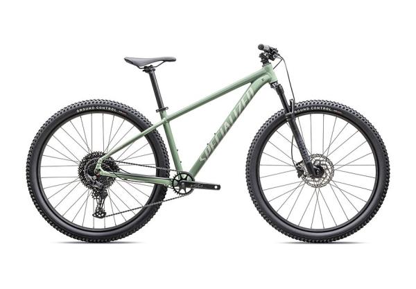 Specialized Rockhopper Comp Gloss Pistachio / White Mountains L - 29
