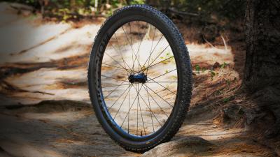 Bontrager Reifen Bontrager Sainte-Anne RSL XR 29x2.20 TLR Bl Produktbild 3