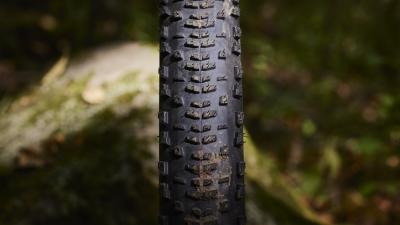 Bontrager Reifen Bontrager Sainte-Anne RSL XR 29x2.20 TLR Bl Produktbild 4