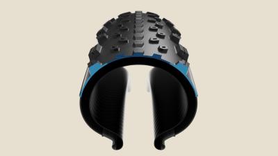 Bontrager Reifen Bontrager Sainte-Anne RSL XR 29x2.20 TLR Bl Produktbild 6