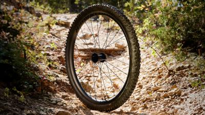Bontrager Reifen Bontrager Gunnison RSL XT 29x2.40 TLR Black Produktbild 3