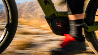 Trek PowerflyFS4 8EQEU XL 29 Mercury/Dark Web Produktbild 2
