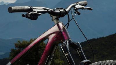 Trek Fuel EX 8 XL Lithium Grey/Trek Black Splatter Produktbild 7