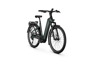 Kalkhoff ENDEAVOUR 5+ ADVANCE 53 29" 10 techgreen glossy Wave Produktbild 2