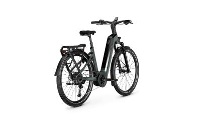 Kalkhoff ENDEAVOUR 5+ ADVANCE 53 29" 10 techgreen glossy Wave Produktbild 4