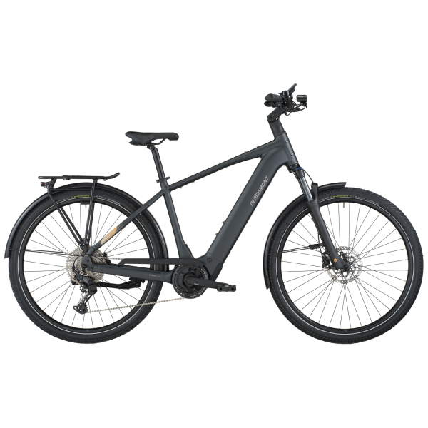 Bergamont E-Horizon Sport 20 - flaky black - S